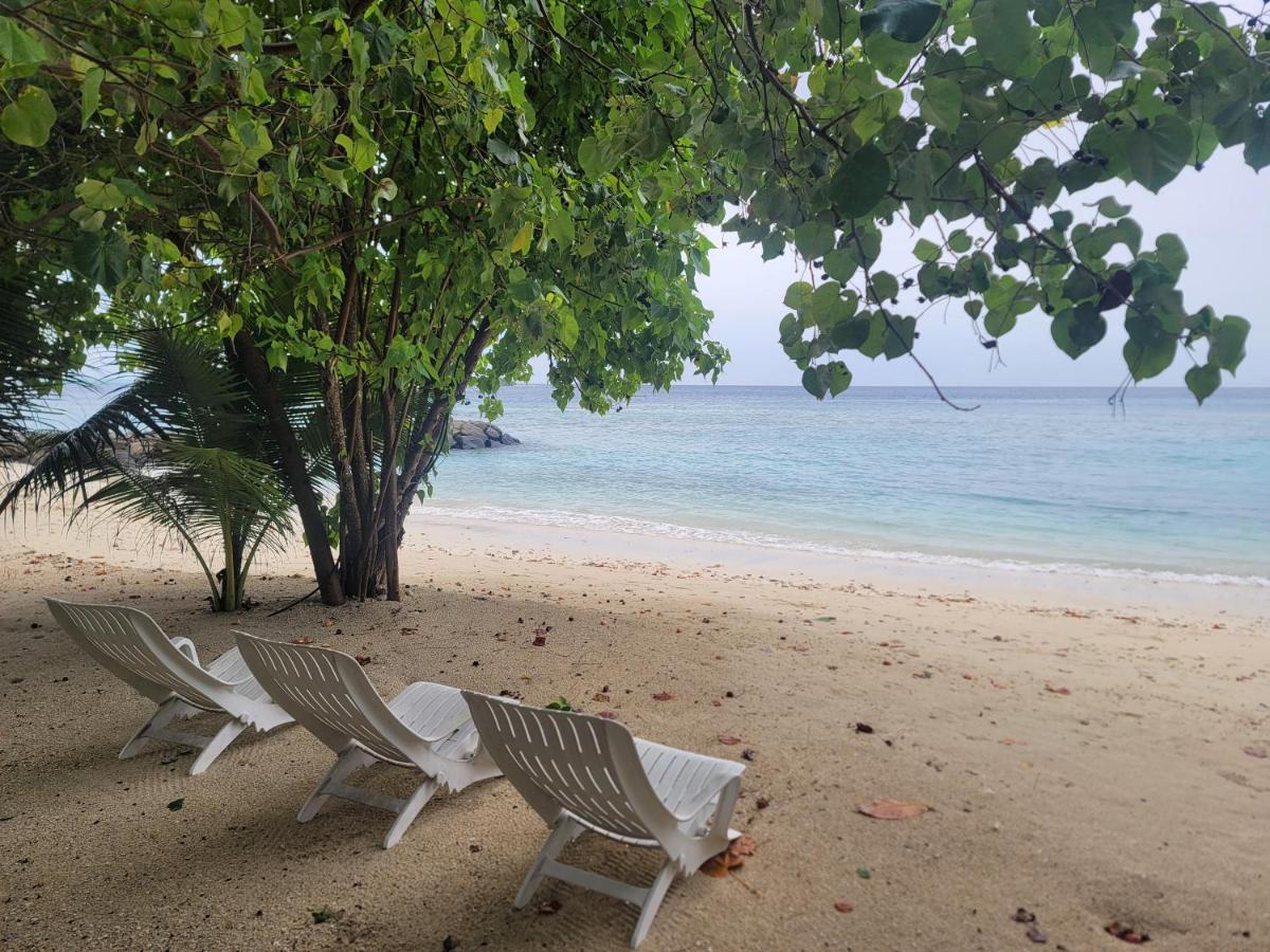Palm Residence Rasdhoo Dış mekan fotoğraf