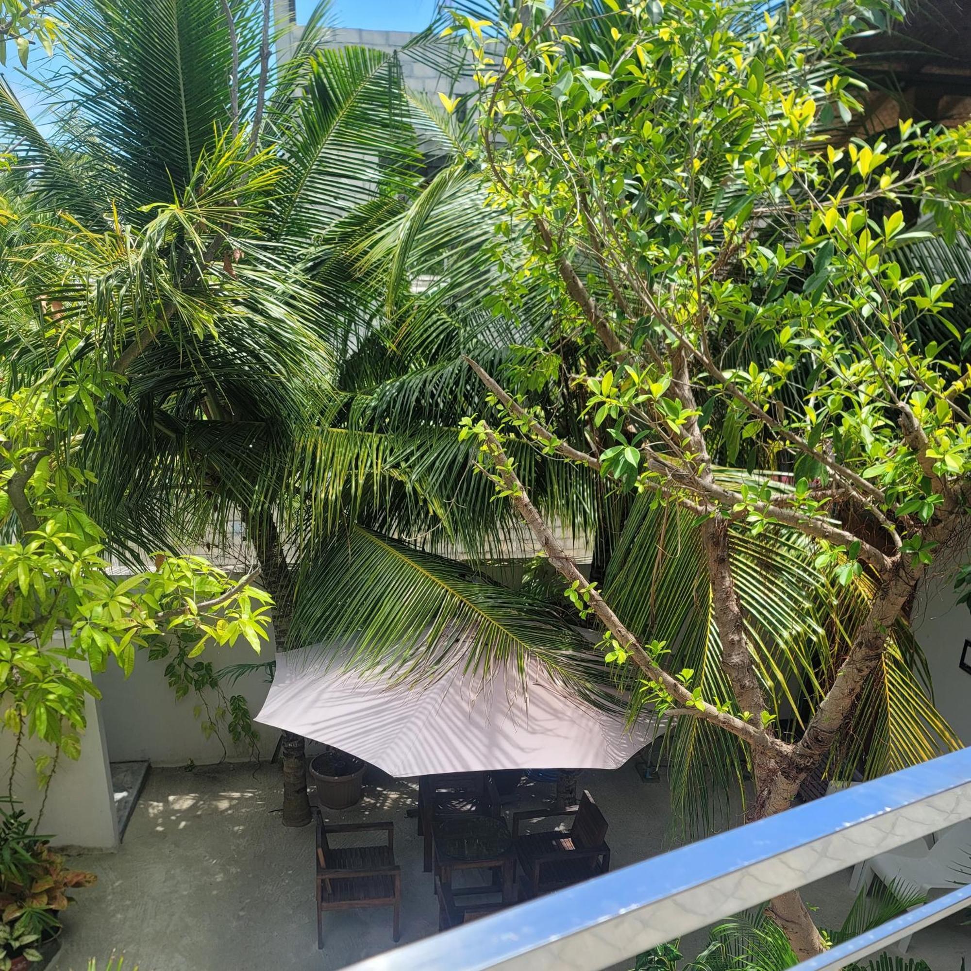 Palm Residence Rasdhoo Oda fotoğraf